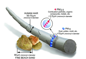 Figure 7.13-1 : Relative Particulate Matter Size